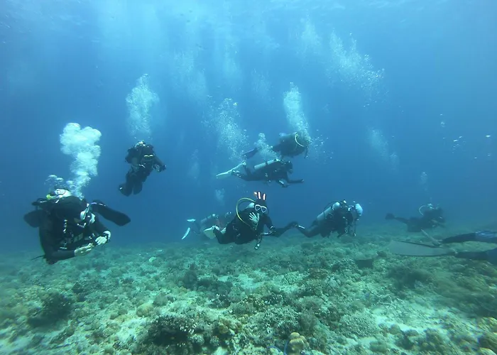 Hotel Zhang And Dragon J1 Dive Center Malapascua